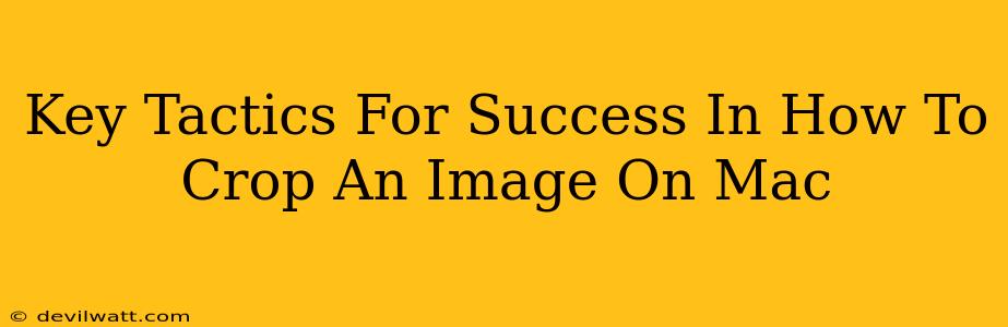 Key Tactics For Success In How To Crop An Image On Mac