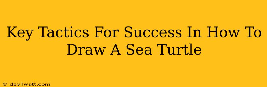 Key Tactics For Success In How To Draw A Sea Turtle