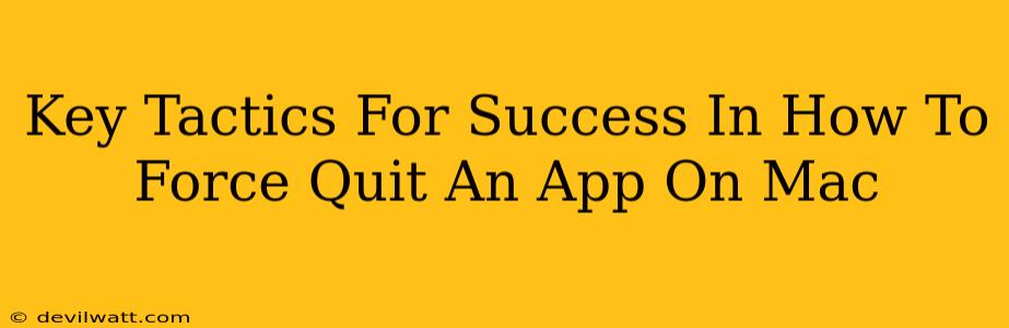 Key Tactics For Success In How To Force Quit An App On Mac