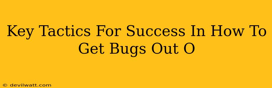 Key Tactics For Success In How To Get Bugs Out O