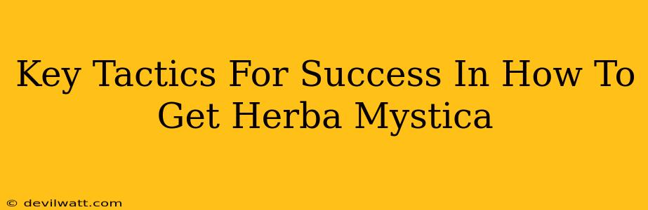 Key Tactics For Success In How To Get Herba Mystica