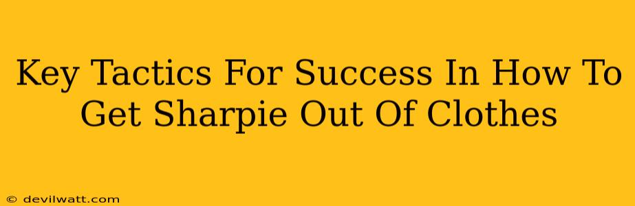 Key Tactics For Success In How To Get Sharpie Out Of Clothes