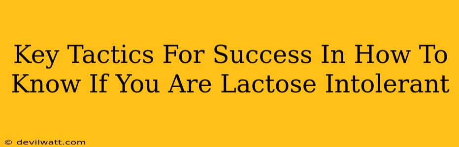 Key Tactics For Success In How To Know If You Are Lactose Intolerant