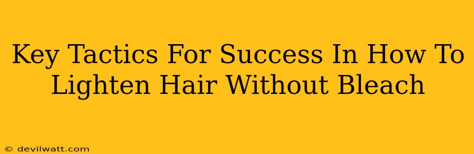 Key Tactics For Success In How To Lighten Hair Without Bleach