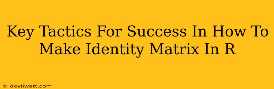 Key Tactics For Success In How To Make Identity Matrix In R