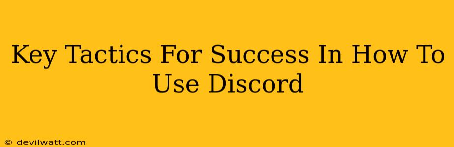 Key Tactics For Success In How To Use Discord