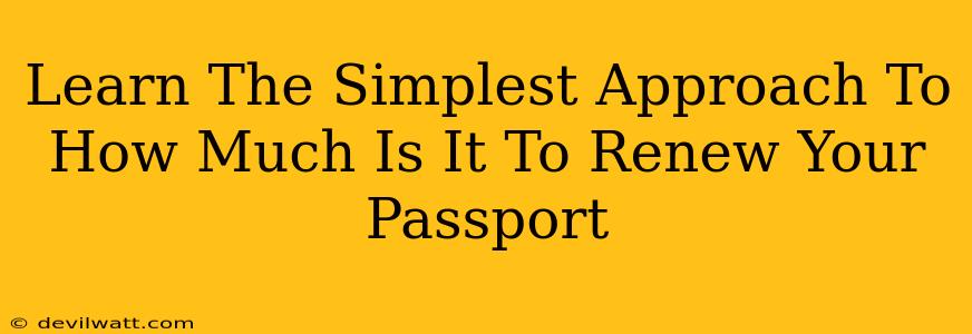 Learn The Simplest Approach To How Much Is It To Renew Your Passport