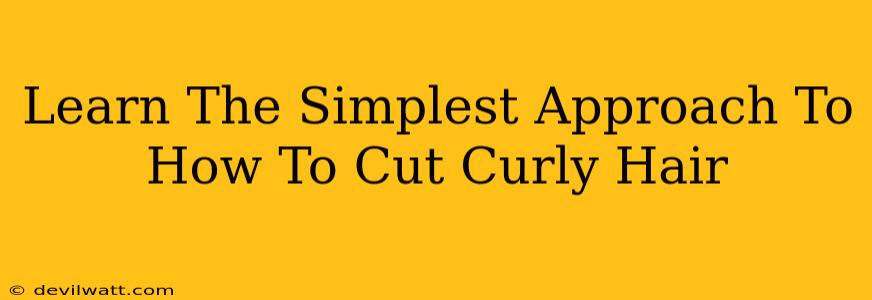 Learn The Simplest Approach To How To Cut Curly Hair