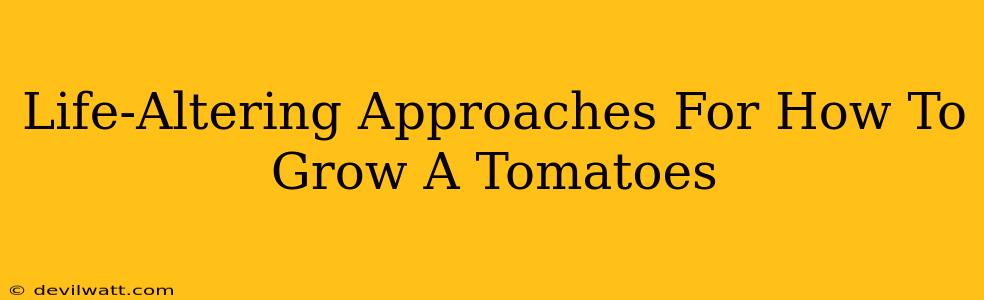 Life-Altering Approaches For How To Grow A Tomatoes