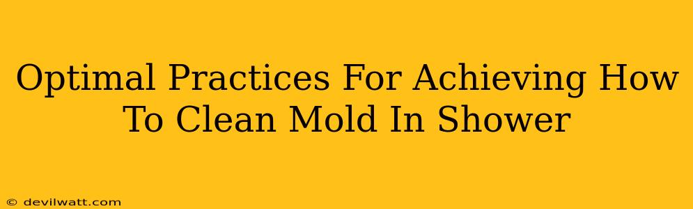 Optimal Practices For Achieving How To Clean Mold In Shower