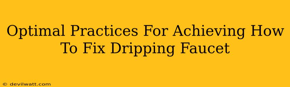 Optimal Practices For Achieving How To Fix Dripping Faucet