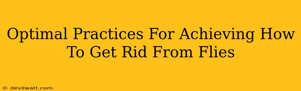 Optimal Practices For Achieving How To Get Rid From Flies
