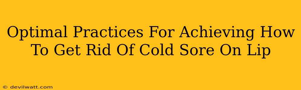 Optimal Practices For Achieving How To Get Rid Of Cold Sore On Lip