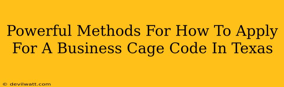 Powerful Methods For How To Apply For A Business Cage Code In Texas