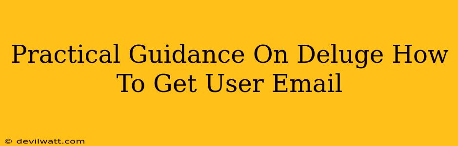 Practical Guidance On Deluge How To Get User Email