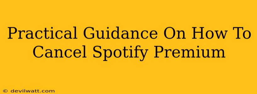 Practical Guidance On How To Cancel Spotify Premium