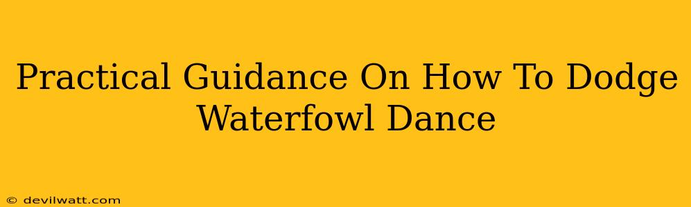 Practical Guidance On How To Dodge Waterfowl Dance