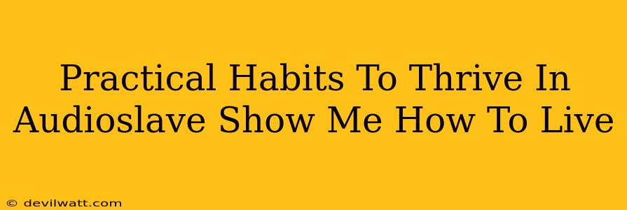 Practical Habits To Thrive In Audioslave Show Me How To Live