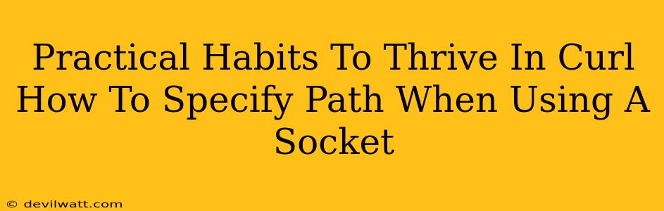 Practical Habits To Thrive In Curl How To Specify Path When Using A Socket