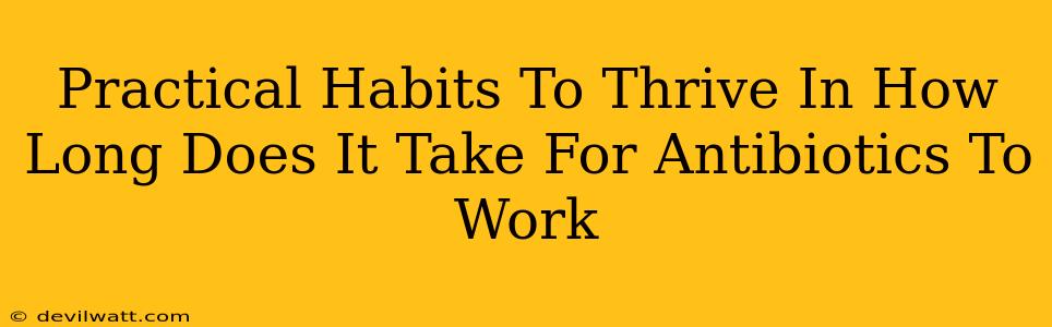 Practical Habits To Thrive In How Long Does It Take For Antibiotics To Work