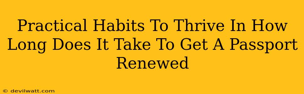 Practical Habits To Thrive In How Long Does It Take To Get A Passport Renewed