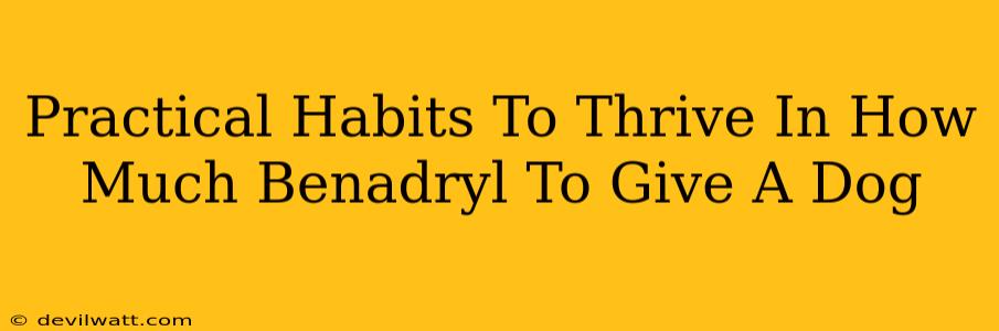 Practical Habits To Thrive In How Much Benadryl To Give A Dog