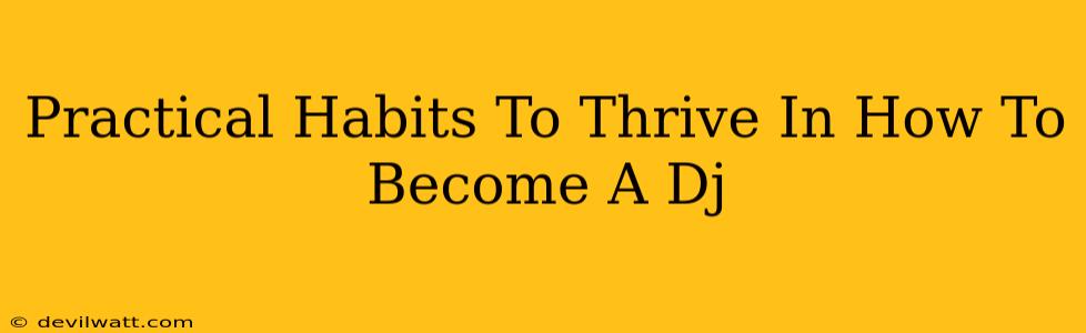 Practical Habits To Thrive In How To Become A Dj
