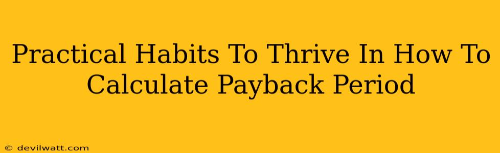 Practical Habits To Thrive In How To Calculate Payback Period