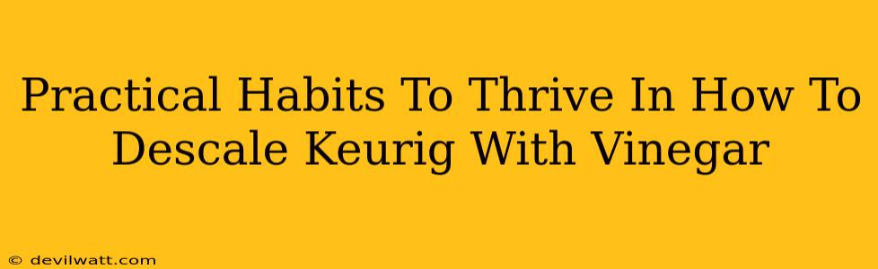 Practical Habits To Thrive In How To Descale Keurig With Vinegar