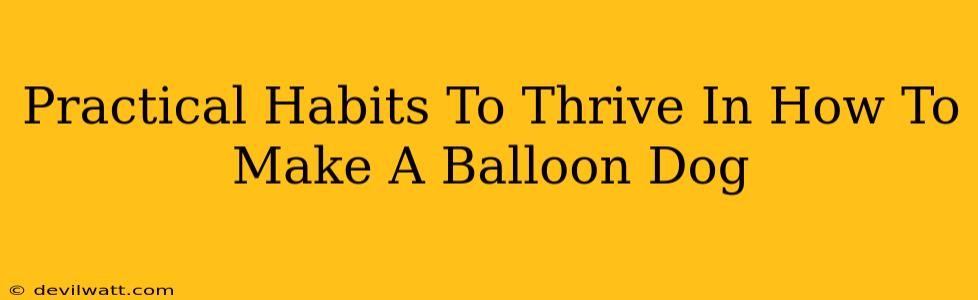 Practical Habits To Thrive In How To Make A Balloon Dog