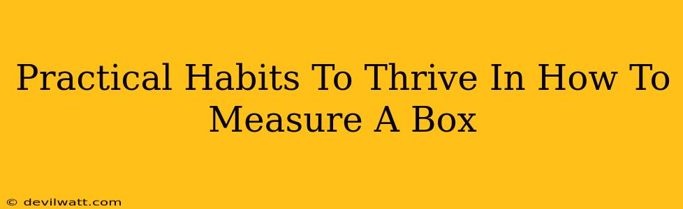Practical Habits To Thrive In How To Measure A Box