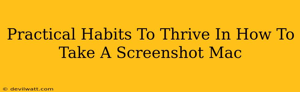 Practical Habits To Thrive In How To Take A Screenshot Mac