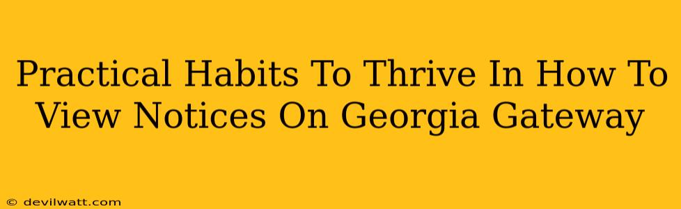 Practical Habits To Thrive In How To View Notices On Georgia Gateway