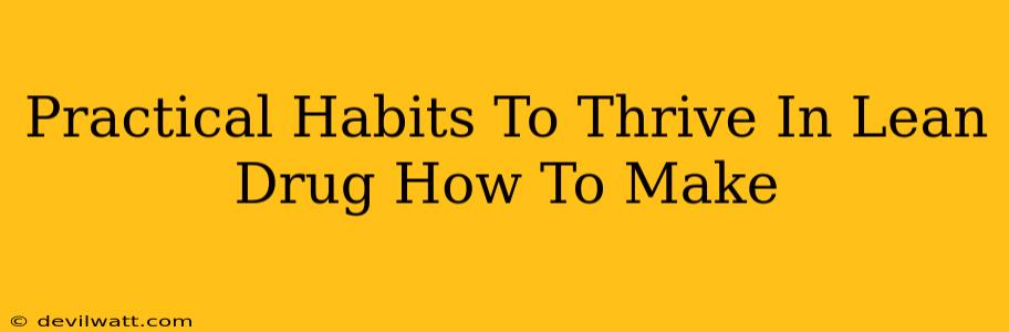 Practical Habits To Thrive In Lean Drug How To Make