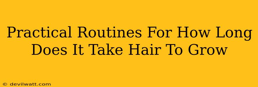 Practical Routines For How Long Does It Take Hair To Grow