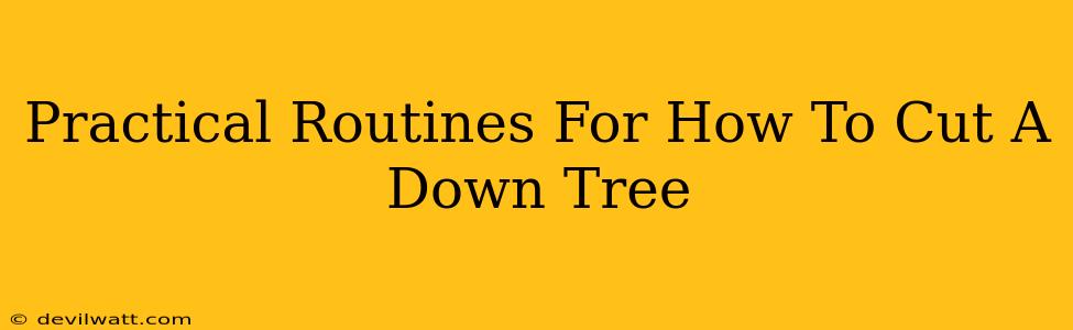 Practical Routines For How To Cut A Down Tree