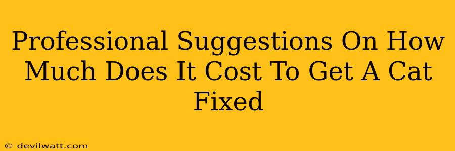 Professional Suggestions On How Much Does It Cost To Get A Cat Fixed