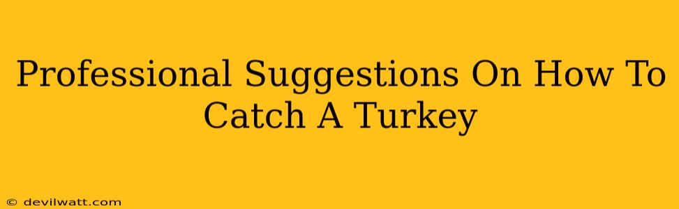 Professional Suggestions On How To Catch A Turkey