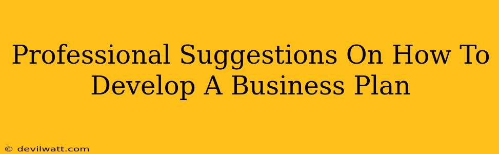 Professional Suggestions On How To Develop A Business Plan