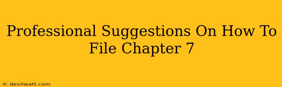 Professional Suggestions On How To File Chapter 7