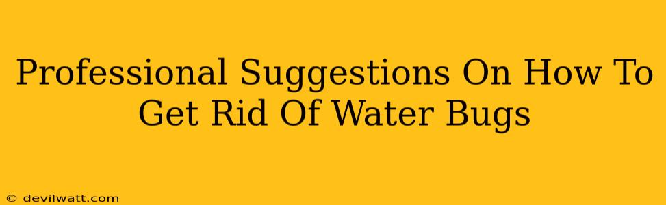 Professional Suggestions On How To Get Rid Of Water Bugs