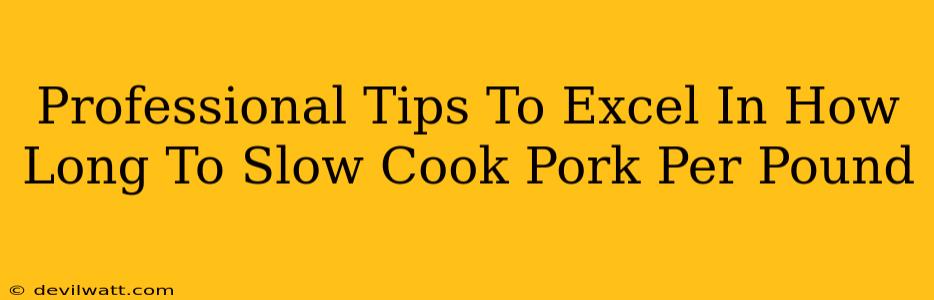 Professional Tips To Excel In How Long To Slow Cook Pork Per Pound