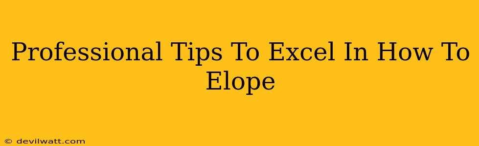 Professional Tips To Excel In How To Elope