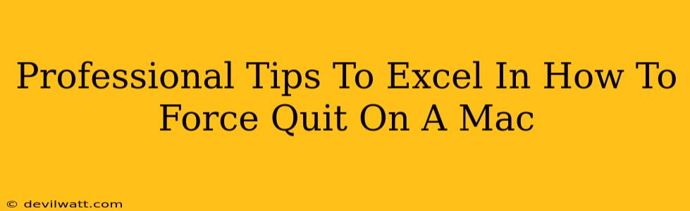 Professional Tips To Excel In How To Force Quit On A Mac