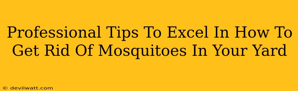 Professional Tips To Excel In How To Get Rid Of Mosquitoes In Your Yard