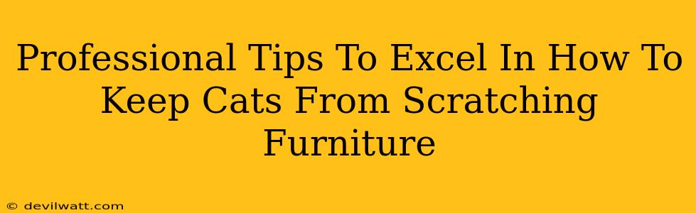 Professional Tips To Excel In How To Keep Cats From Scratching Furniture
