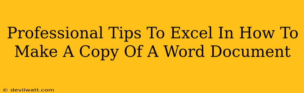 Professional Tips To Excel In How To Make A Copy Of A Word Document