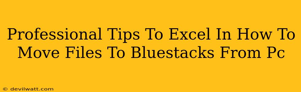 Professional Tips To Excel In How To Move Files To Bluestacks From Pc