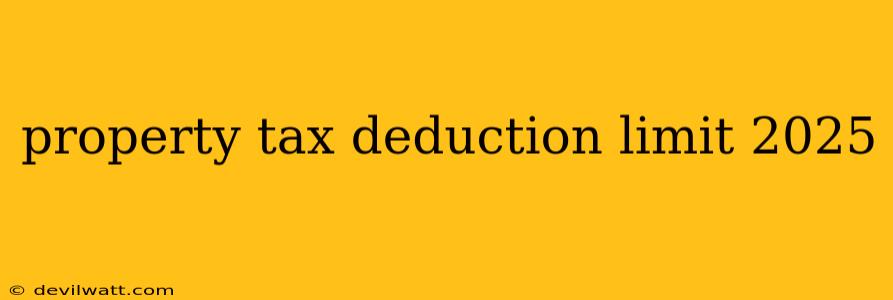 property tax deduction limit 2025