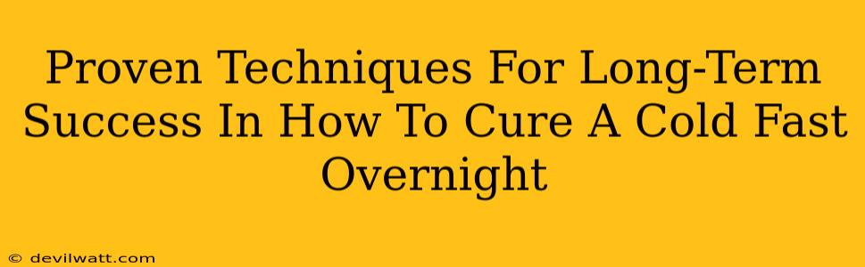 Proven Techniques For Long-Term Success In How To Cure A Cold Fast Overnight